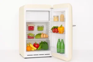 best mini fridges for drinks