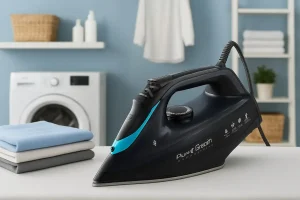 professional best rowenta iron 