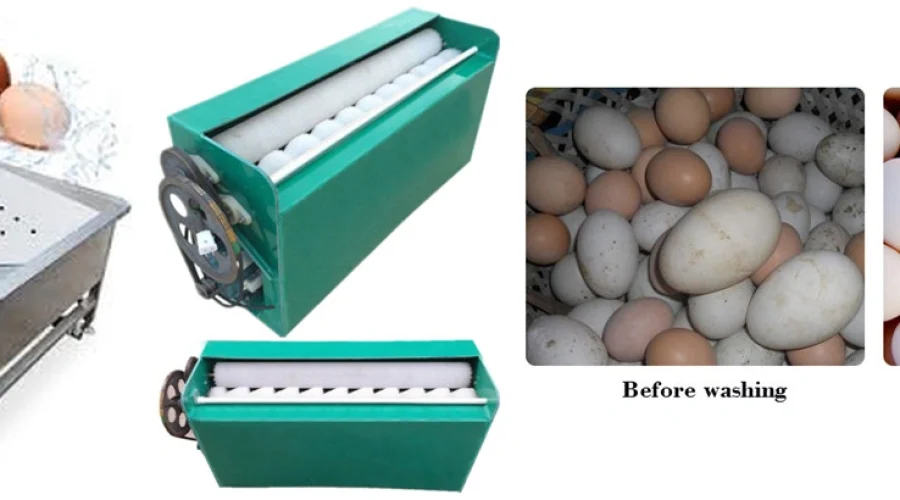 Egg Washer